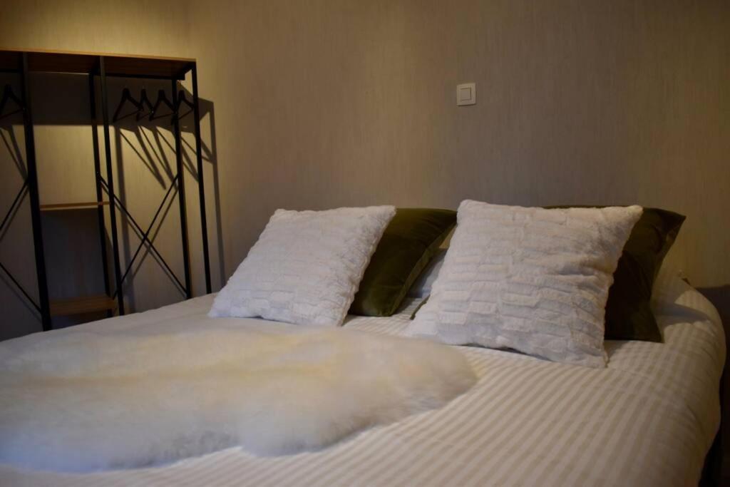 Vernieuwd Appartement Op 200M Van De Zee أوستيند المظهر الخارجي الصورة